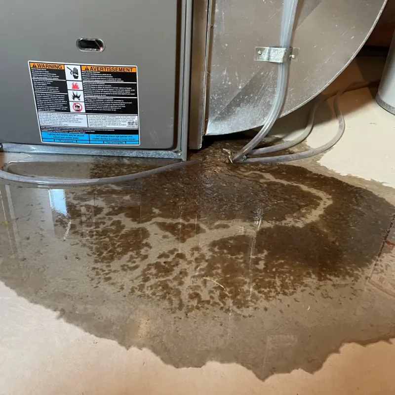 Appliance Leak Cleanup in Altoona, WI